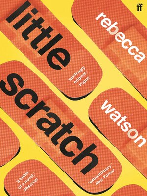cover image of little scratch